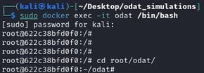 Figure 10. CLI access to the ODAT Docker instance