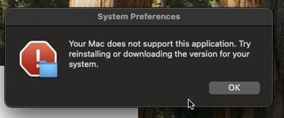Figure 13. Fake error message