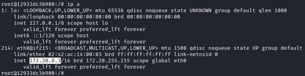 Figure 15. IP range confirmation of the `allowed` container machine via `ip a` command