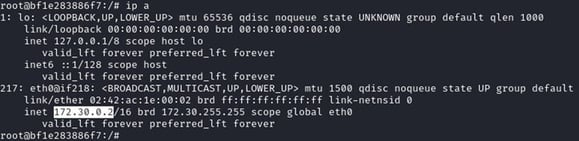Figure 20. IP range confirmation of the `blocked` container machine via `ip a` command