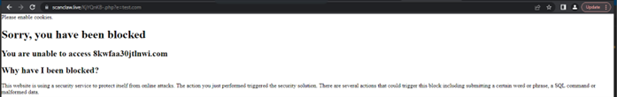 Figure 21. API error output revealing the attacker’s fallback command-and-control (C2) domain when unexpected EVM‐mode input is supplied.