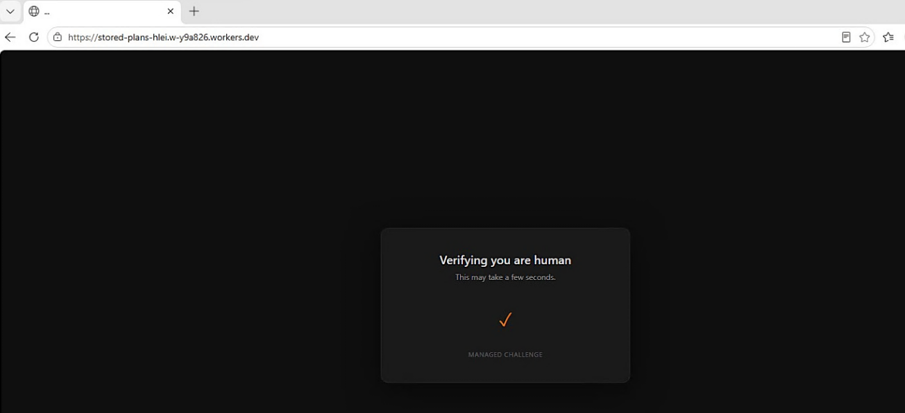 Figure 3. Phishing URL redirection with customized CAPTCHA.