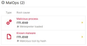 Figure 33. rm.exe MalOps root causes