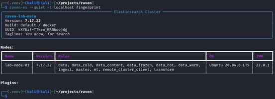 Figure 4. RAVEN fingerprint output with cluster details, node information, and plugin enumeration