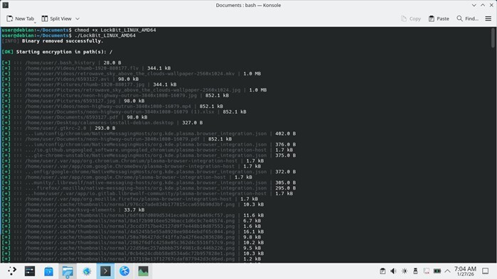 Figure 4. Ransomware execution