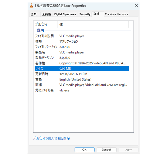 Figure 5. Malicious EXE file properties.