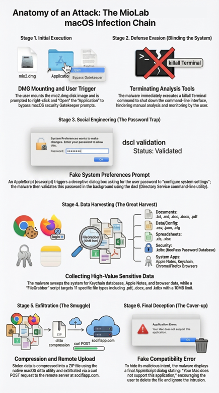 Figure 9. MioLab infection chain