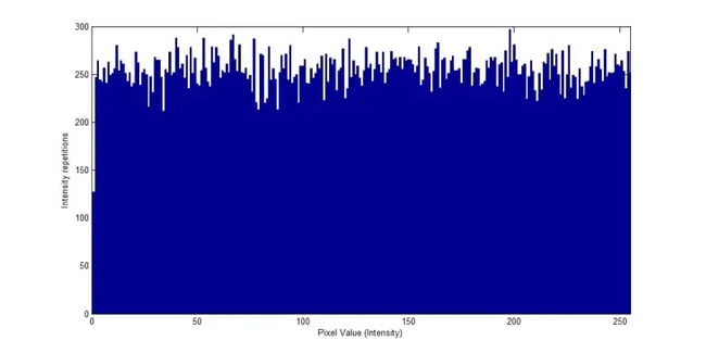 11295_b222e63f-0d36-48ed-8dc0-97bd9b1ce1ac