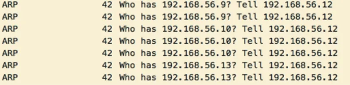 12463_eaf5d98f-390a-4ea2-b242-3d66803fccfe