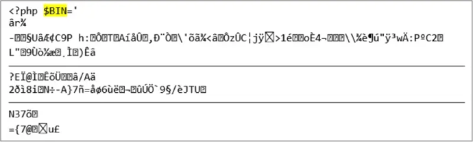 12537_edd035f2-20f5-4412-a3cb-2ed95f6a7823