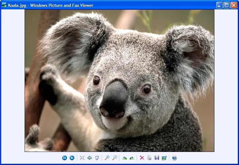 12637_f1efa493-fa84-497d-891e-3adf3647c2ec