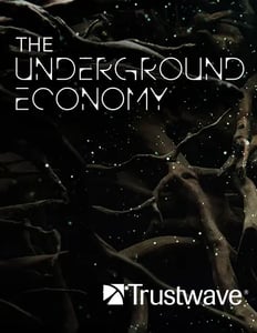 16254_the-underground-economy-cover