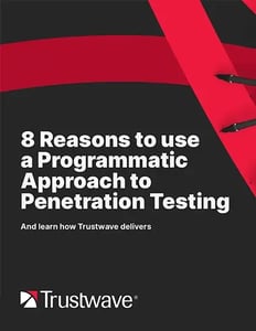 19148_8-reasons-pentesting-cover