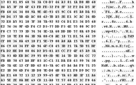 BSL_12917_08178f58-b3d2-4ffa-96db-bb16961515b3