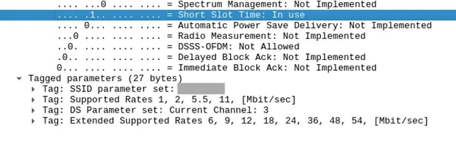 BSL_20163_picture6fff