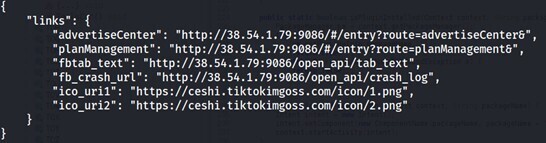 Figure 11. Decoded configuration file showing C2 infrastructure.