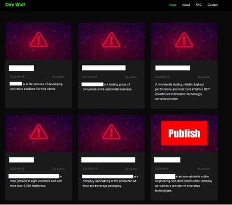 Figure 13. Victims published on Dire Wolf Data Leak Site