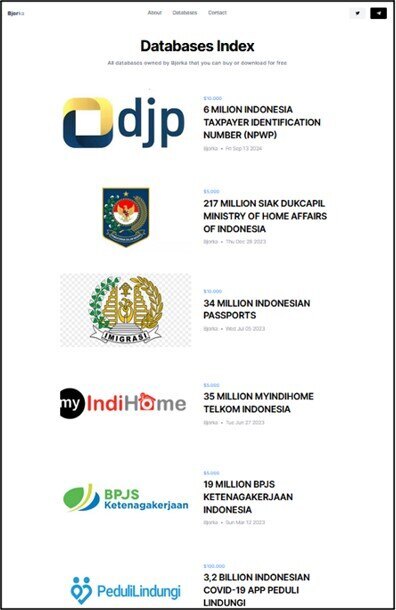 Figure 14. Bjorka’s databases index  