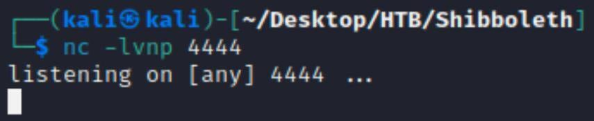 Figure 15. Netcat listener on port 4444