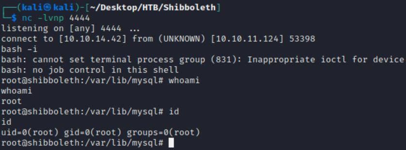Figure 16. The Netcat listener is activated to spawn a reverse shell as root.