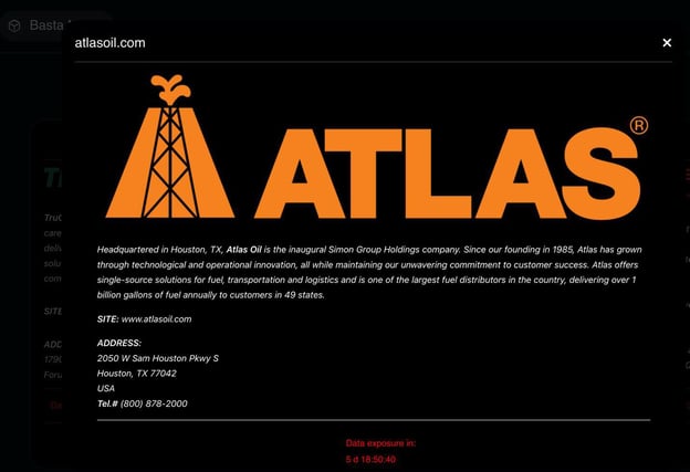 Figure 2 Black Basta Dark Web Website, short information about the targeted company