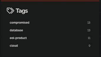 Figure 20. Shodan tags of the affected Elasticsearch targets.