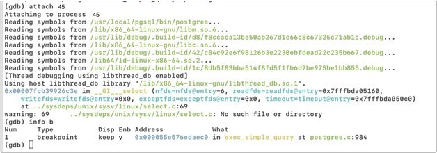 Figure 3.4. Attachment of the process with a pid 45 and confirmation that the breakpoint is active