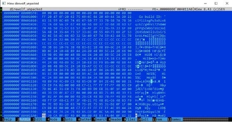 Figure 4. Unpacked Code shown in HIEW