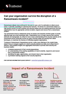 Ransomware Preparedness Service
