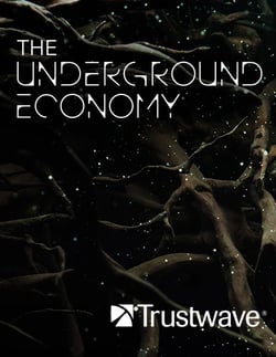 16254_the-underground-economy-cover