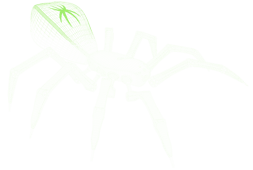 SpiderCrouch_White_Green